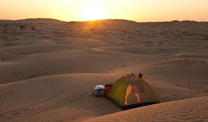 Desert Biome